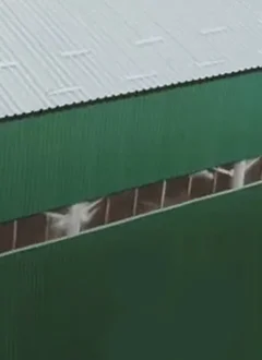 СТРІЧКОВЕ СКЛІННЯ ПРОМИСЛОВИХ ЦЕХІВ